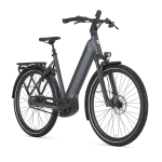 Gazelle Ultimate C5+ Dame 2026 - Meteor Grey Mat