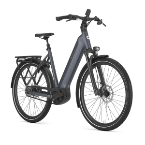 Gazelle Ultimate C5+ Dame 2026 - Meteor Grey Mat